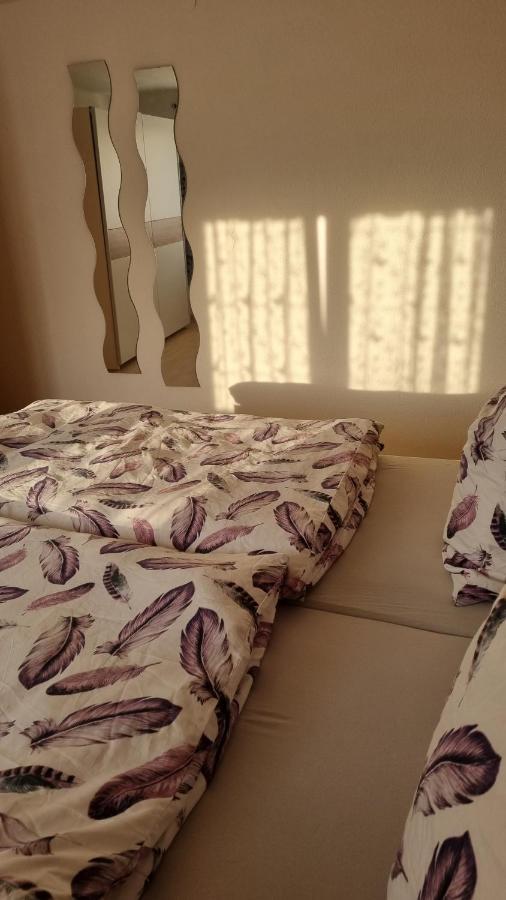 Schoene 2-Zimmer Ferienwohnung Löffingen Dış mekan fotoğraf